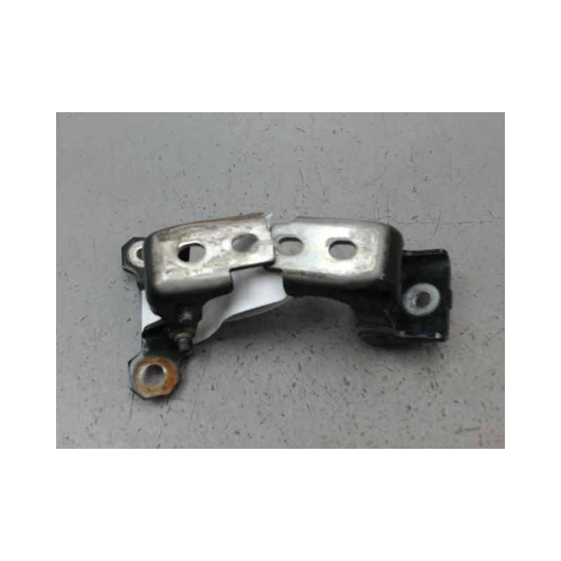 CHARNIÈRE PORTE AVG RENAULT CLIO ESTATE III Phase 2 2009-2014