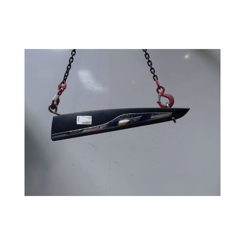 PROTECTION PORTE ARRIERE GAUCHE RENAULT CLIO IV
