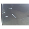 PORTE ARRIERE GAUCHE RENAULT MEGANE