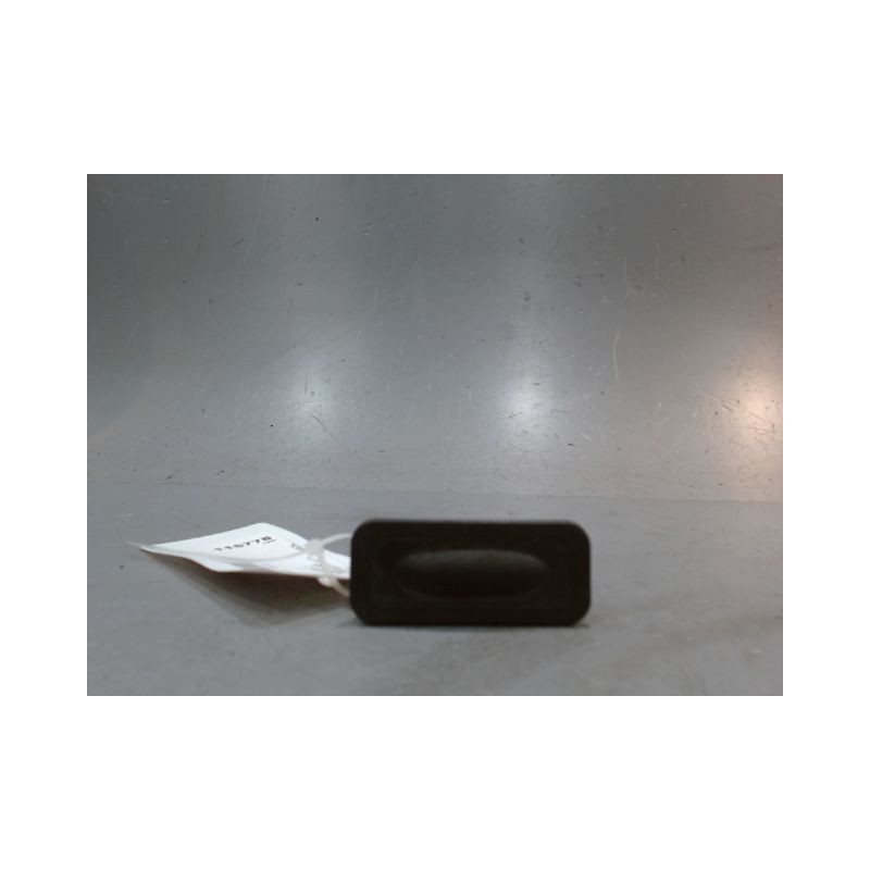 POIGNEE EXTERIEURE HAYON RENAULT CLIO