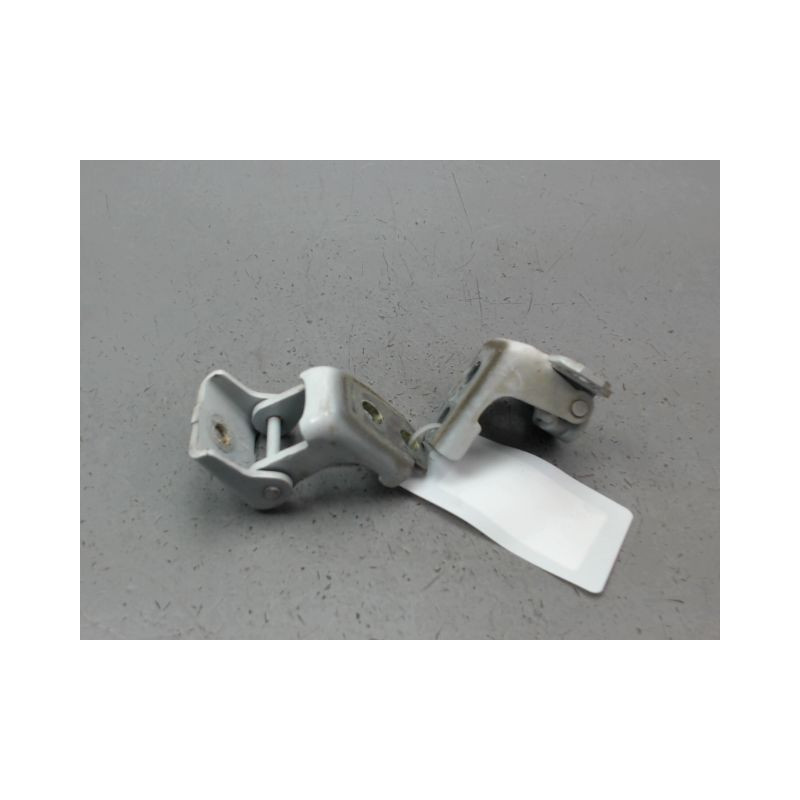 CHARNIÈRE PORTE AVG RENAULT CLIO IV Phase 1 2012-...