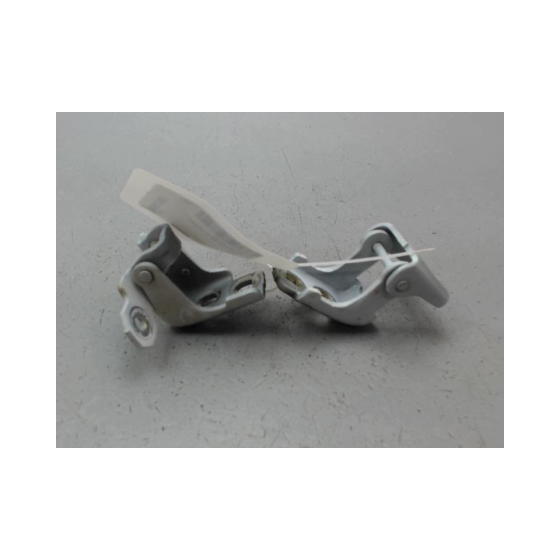 CHARNIÈRE PORTE AVG RENAULT CLIO IV Phase 1 2012-...
