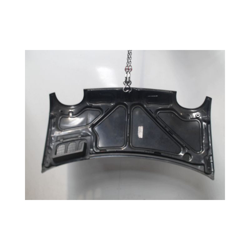 CAPOT RENAULT TWINGO PH.3 2000-2007
