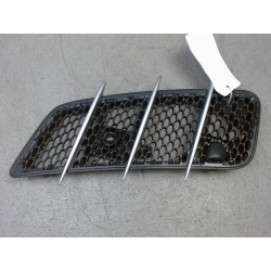 GRILLE CAPOT G