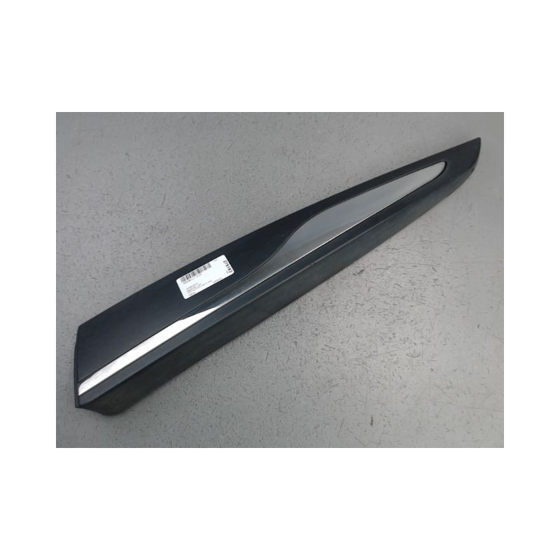 PROTECTION PORTE ARRIERE GAUCHE RENAULT CLIO