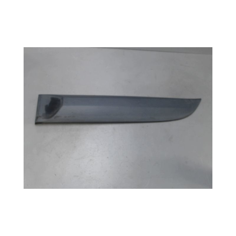PROTECTION PORTE ARRIERE GAUCHE RENAULT MEGANE