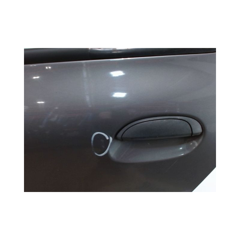 PORTE ARRIERE GAUCHE RENAULT CLIO II PH.2 01-06