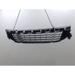 GRILLE PARE-CHOC AV