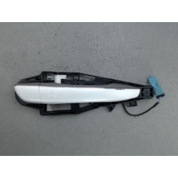 POIGNEE EXT PORTE ARD