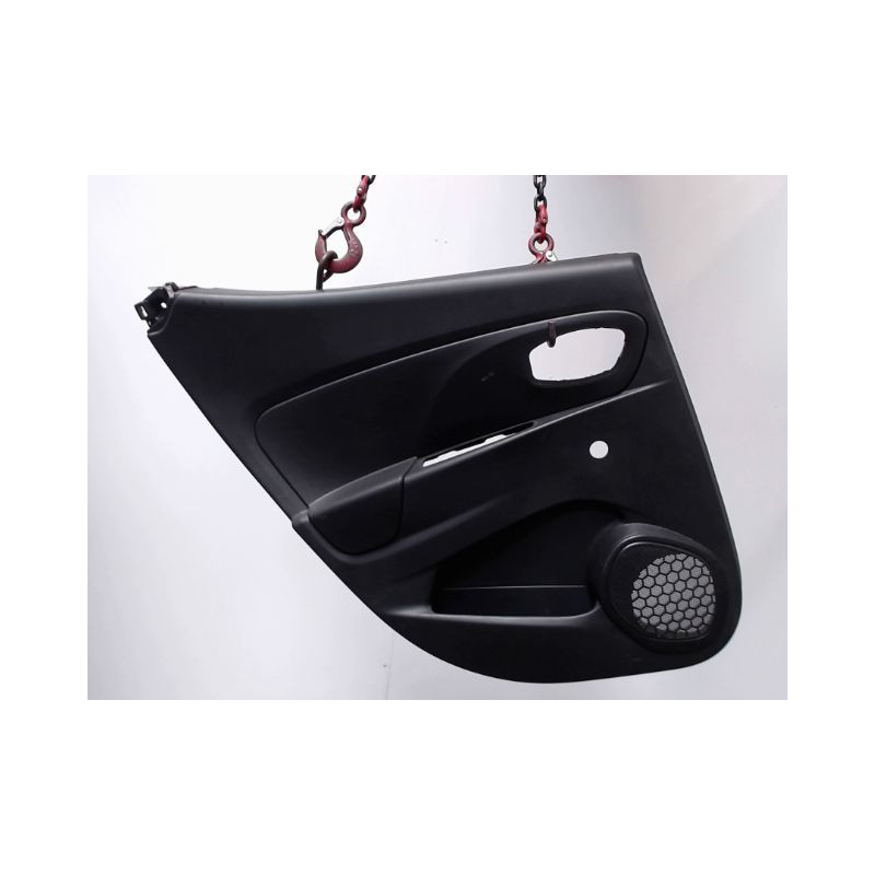 GARNITURE PORTE ARRIERE GAUCHE RENAULT CLIO IV
