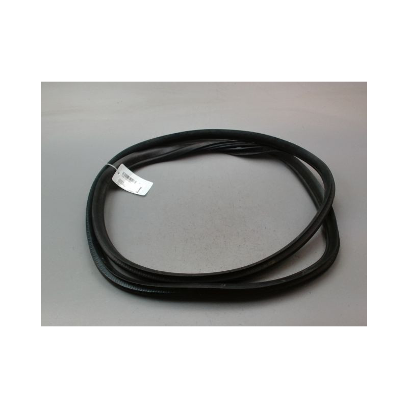 JOINT PORTE ARG FORD T.COURIER