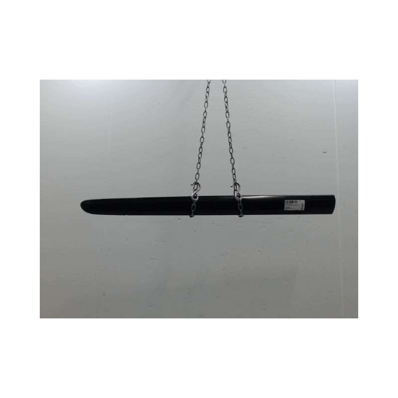 PROTECTION PORTE AVANT GAUCHE RENAULT CLIO CAMPUS II Phase 1 2006-2009