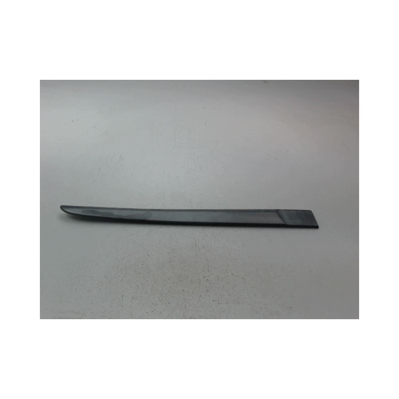 PROTECTION PORTE AVANT DROIT RENAULT CLIO III Phase 1 2005-2009