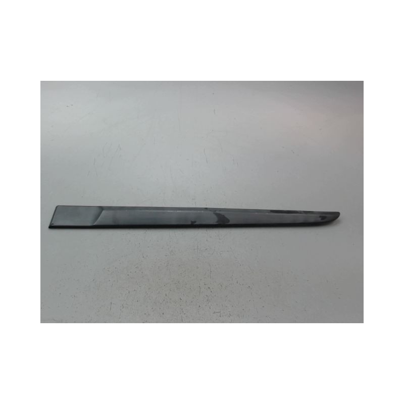PROTECTION PORTE ARRIERE GAUCHE RENAULT CLIO III Phase 1 2005-2009