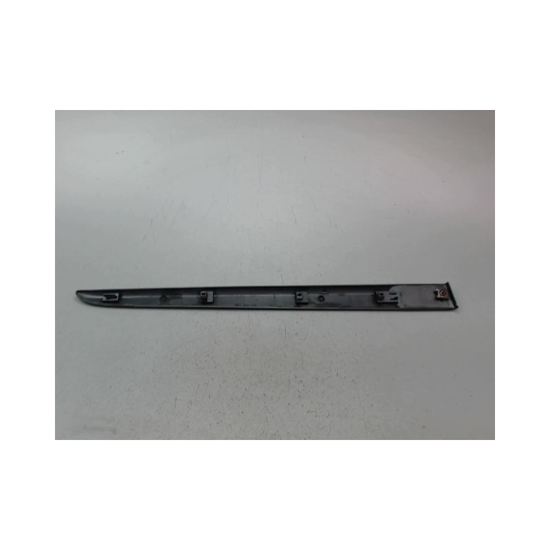 PROTECTION PORTE ARRIERE GAUCHE RENAULT CLIO III Phase 1 2005-2009