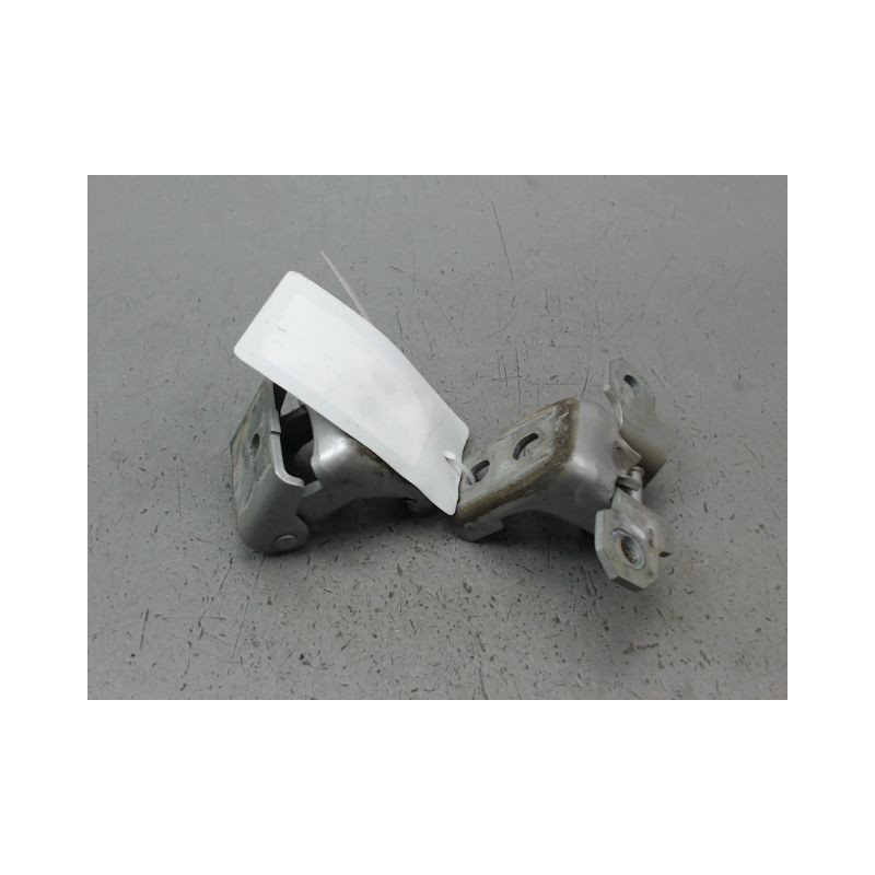 CHARNIÈRE PORTE AVG RENAULT SCENIC MONOSP. III Phase 2 2011-2013