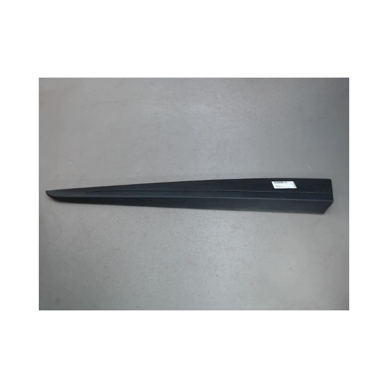 PROTECTION PORTE AVANT GAUCHE RENAULT CLIO