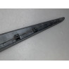 PROTECTION PORTE AVANT GAUCHE RENAULT CLIO