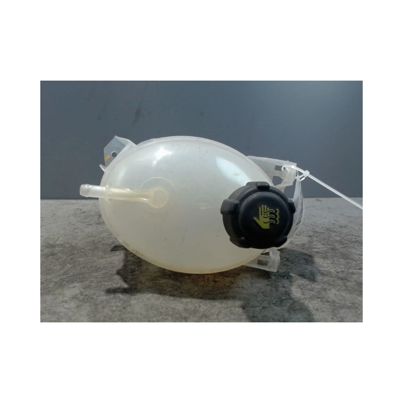 VASE EXPANSION RENAULT CLIO IV