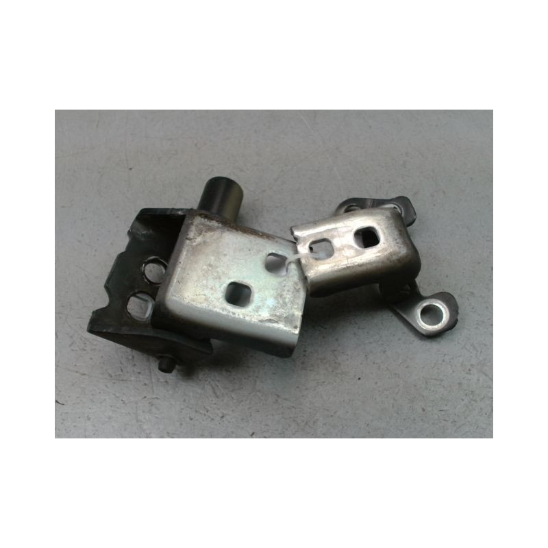 CHARNIÈRE PORTE AVG RENAULT CLIO III Phase 1 2005-2009