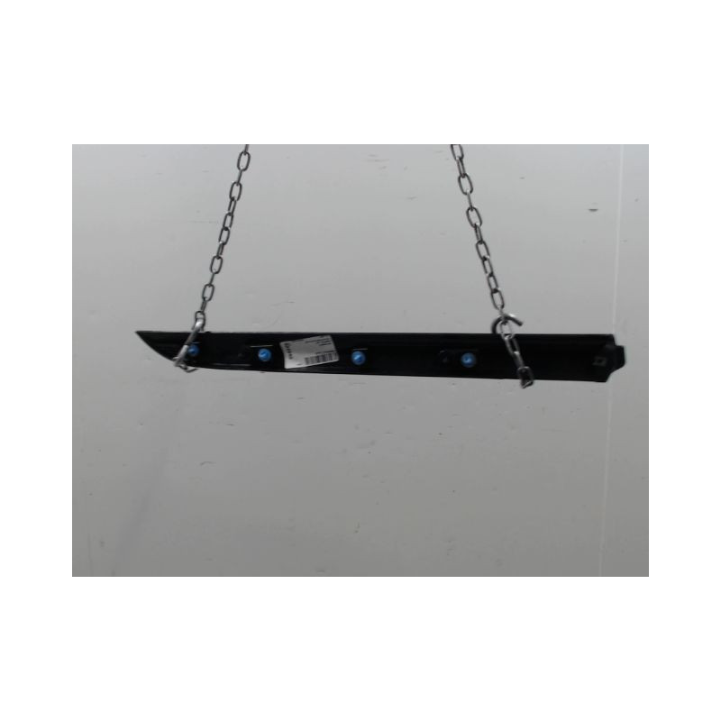 PROTECTION PORTE ARRIERE GAUCHE RENAULT CLIO