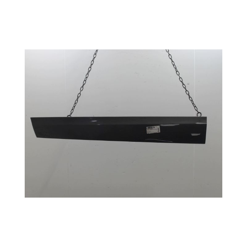 PROTECTION PORTE AVANT GAUCHE RENAULT SCENIC MONOSP. III Phase 2 2011-2013