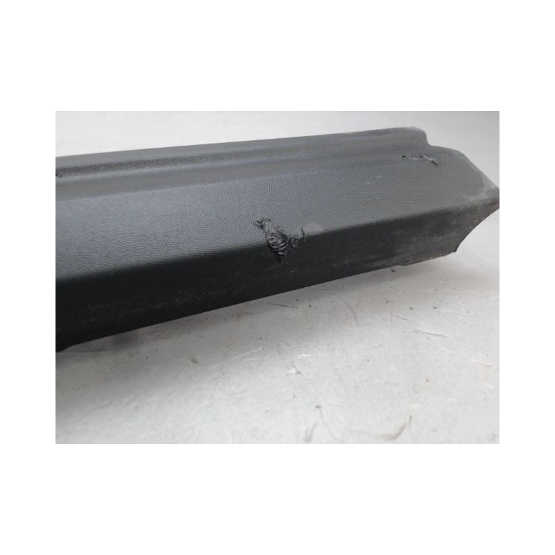 PROTECTION PORTE AVANT GAUCHE RENAULT CLIO