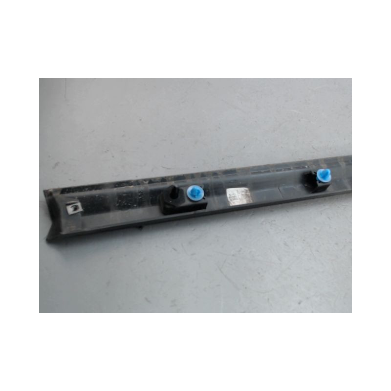 PROTECTION PORTE AVANT GAUCHE RENAULT CLIO