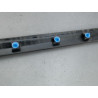 PROTECTION PORTE AVANT GAUCHE RENAULT CLIO