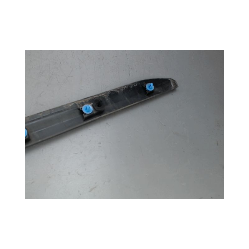 PROTECTION PORTE AVANT GAUCHE RENAULT CLIO