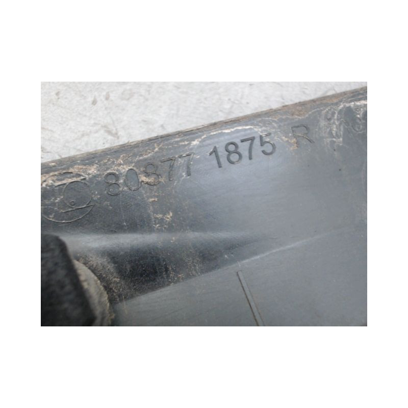 PROTECTION PORTE AVANT GAUCHE RENAULT CLIO