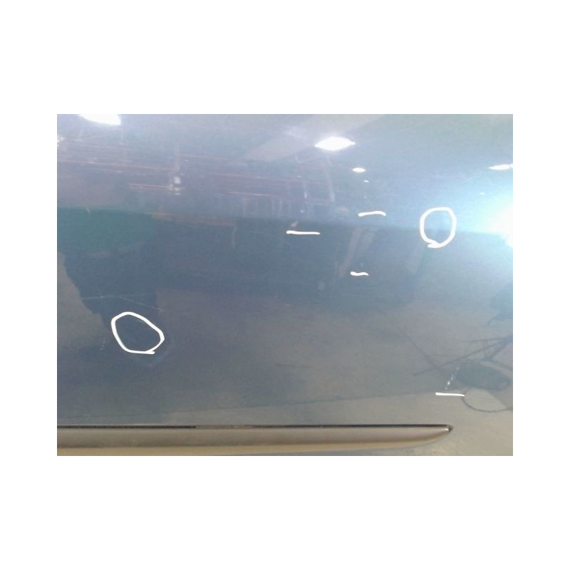 PORTE ARRIERE GAUCHE RENAULT CLIO III 2009-