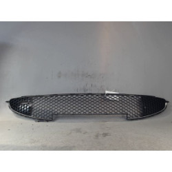 GRILLE PARE-CHOC AV