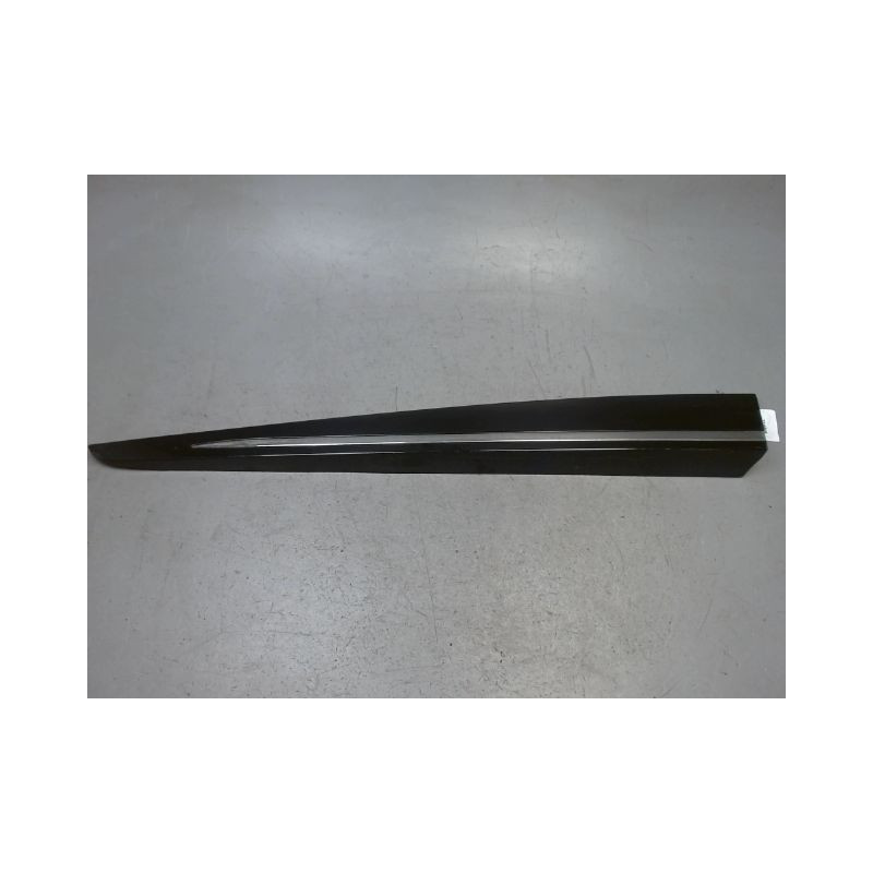 PROTECTION PORTE AVANT GAUCHE RENAULT CLIO