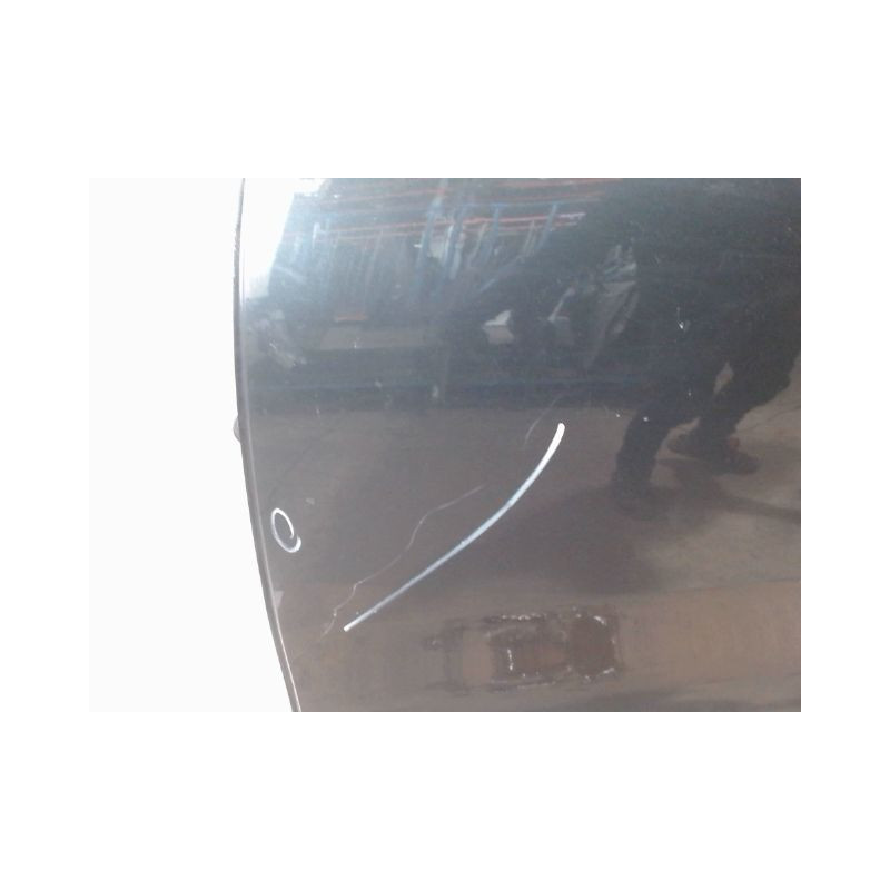 PORTE ARRIERE GAUCHE DACIA SANDERO