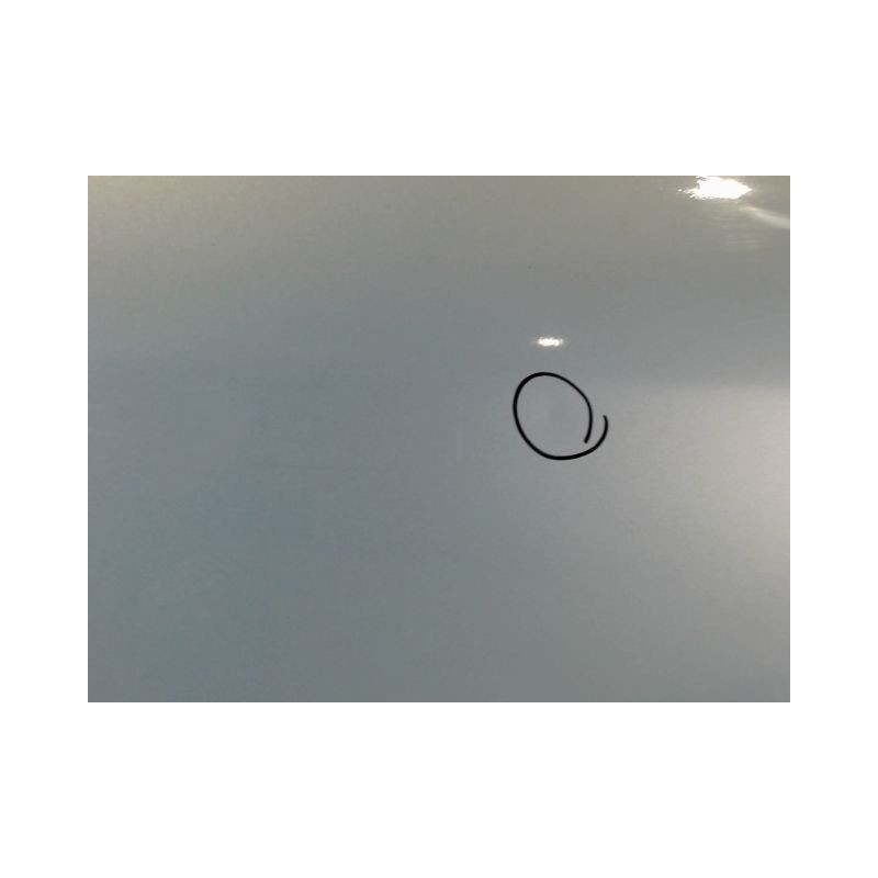 PORTE ARRIERE GAUCHE CITROEN XSARA 2000-