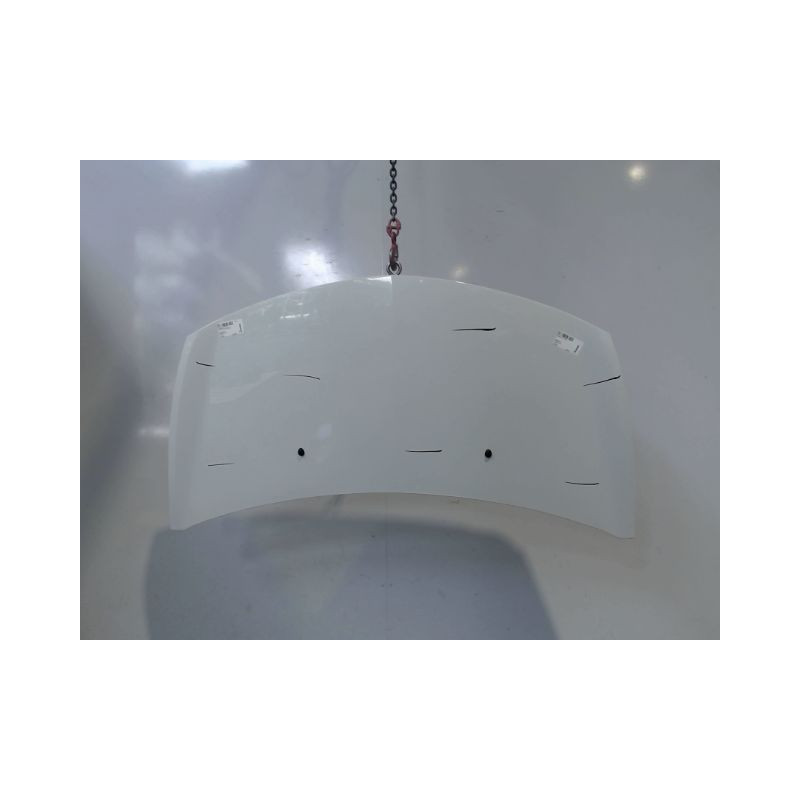 CAPOT RENAULT CLIO III 2010-