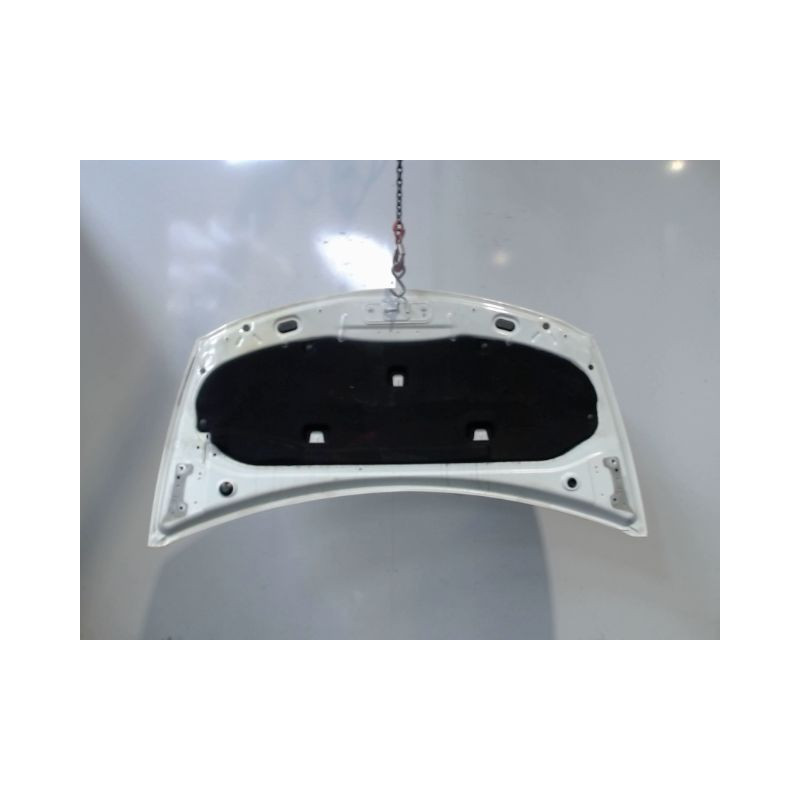 CAPOT RENAULT CLIO III 2010-