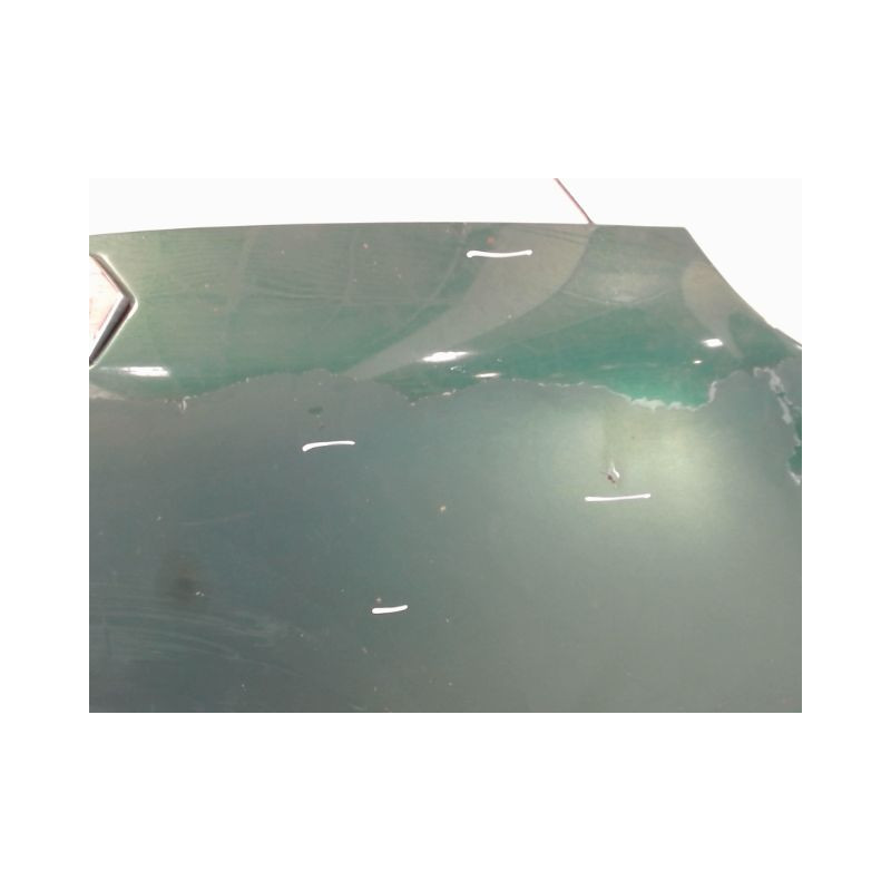 CAPOT RENAULT TWINGO PH.3 2000-2007