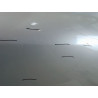 PORTE ARRIERE GAUCHE RENAULT CLIO III 2009-