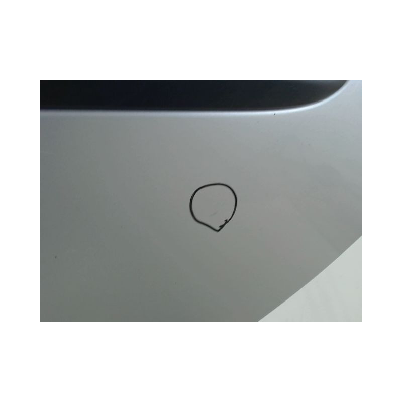 PORTE ARRIERE GAUCHE RENAULT CLIO III 2009-