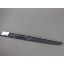 PROTECTION PORTE ARG