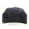 CAPOT DACIA SANDERO 2008-