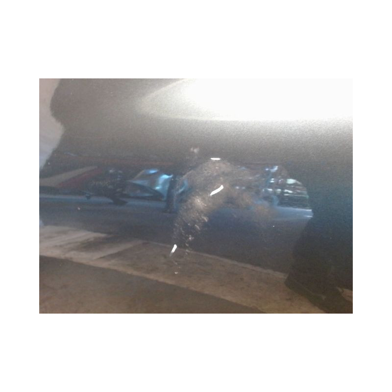 PORTE ARRIERE GAUCHE RENAULT CLIO