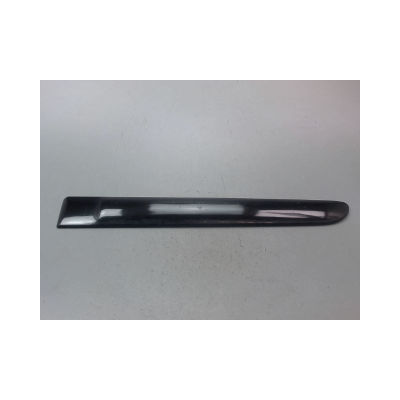 PROTECTION PORTE ARRIERE GAUCHE RENAULT CLIO CAMPUS II Phase 2 2009-2012