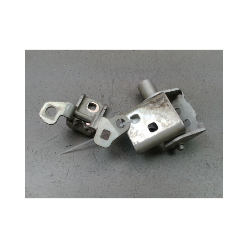 CHARNIÈRE PORTE AVG RENAULT CLIO III Phase 2 2009-2014