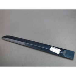 PROTECTION PORTE ARG