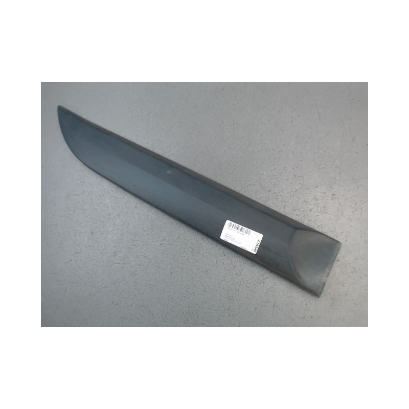 PROTECTION PORTE ARRIERE DROIT RENAULT MEGANE