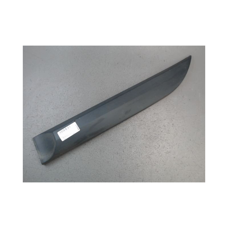 PROTECTION PORTE ARRIERE GAUCHE RENAULT MEGANE