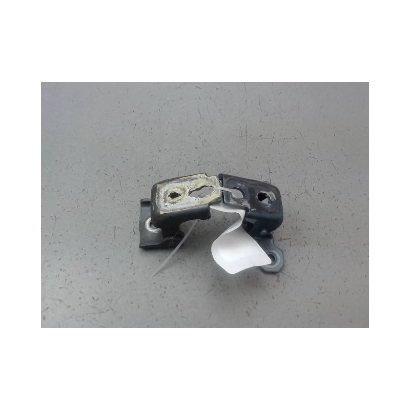 CHARNIÈRE PORTE ARD RENAULT CLIO IV Phase 1 2012-...